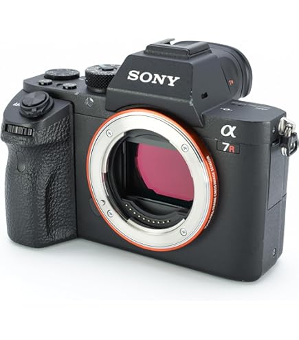 Amazon.co.jp: SONY 望遠ズームレンズ 70-300mm F4.5-5.6 G SSM フル